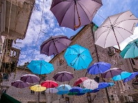 Kotor